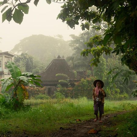 Ferienwohnung Omah Minggir Sleman  Exterior foto